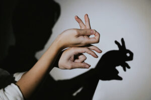 Shadow Puppetry by Ryan Goh Magic